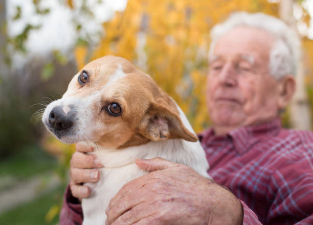 istock Senior man with dog on bench in park 882835940