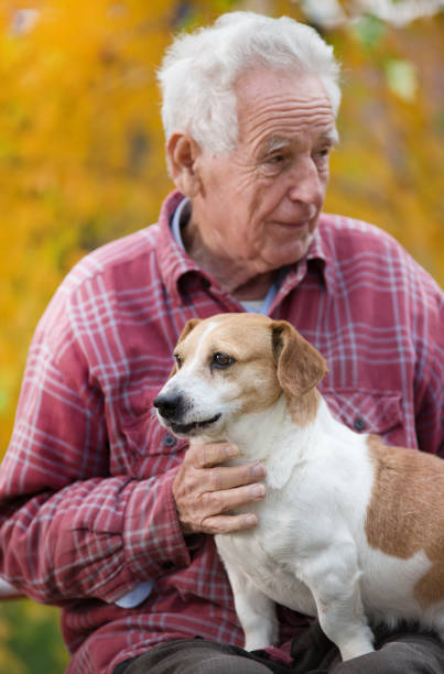 istock Senior man with dog on bench in park 882836308