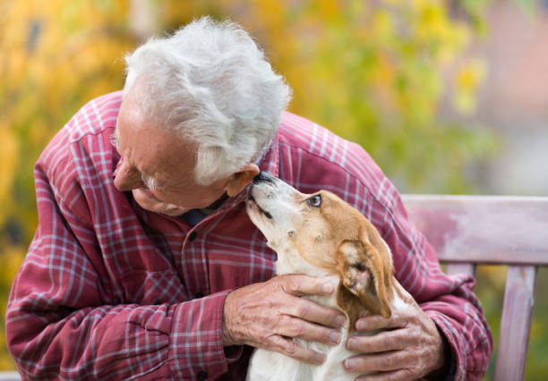 istock Senior man with dog on bench in park 882836422