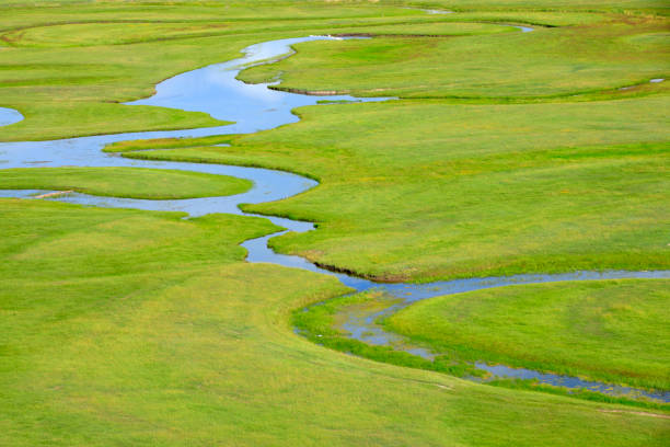 istock The river on the grassland 882836468