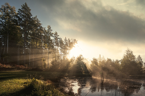 Landskap i Sverige en tidig morgon i slutet av sommaren början av hösten