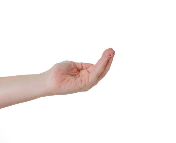 Left hand with cropped arm beckons against white background A left hand, cropped just above the wrist, is held out, cupped, beckoning. summoning stock pictures, royalty-free photos & images