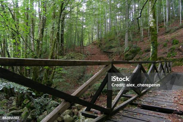Wooden Bridge In The Forest Near Vizzavona Station Trekking Route Gr20 Corsica Stock Photo - Download Image Now