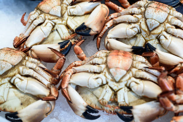 Britain And Crab Stock Photos, Pictures & Royalty-Free Images - iStock