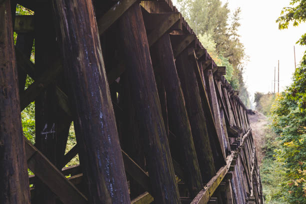 istock Wooden train bridge or trestle in lush forest area 882847490