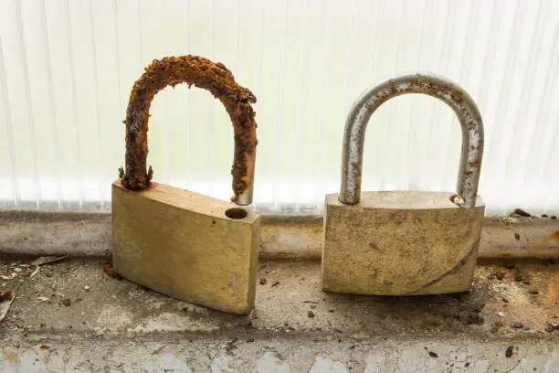 A pair of padlocks that were abandoned in the frame of a garage window suffered the onslaught of corrosion.
