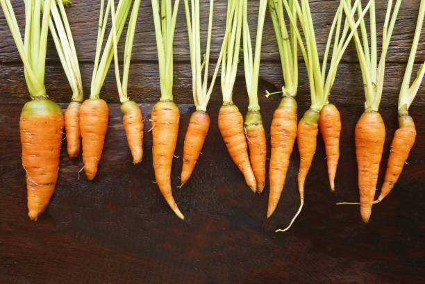 cenoura de bebê na mesa de madeira de vista superior. - carrot baby carrot peeled isolated - fotografias e filmes do acervo