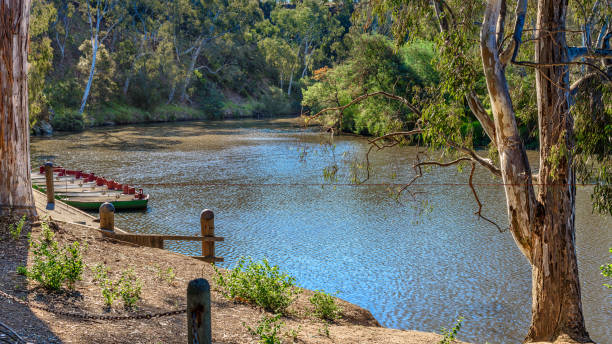Studley Park Studley Park boathouse, thames replica row boats are tied to the jetty on the Yarra River in Kew, Melbourne, Australia yarra river stock pictures, royalty-free photos & images