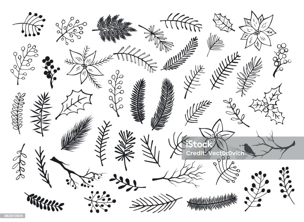 collection of hand drawn outlined and silhouettes winter foliage, branches twigs, flowers in black color Pine Tree stock vector