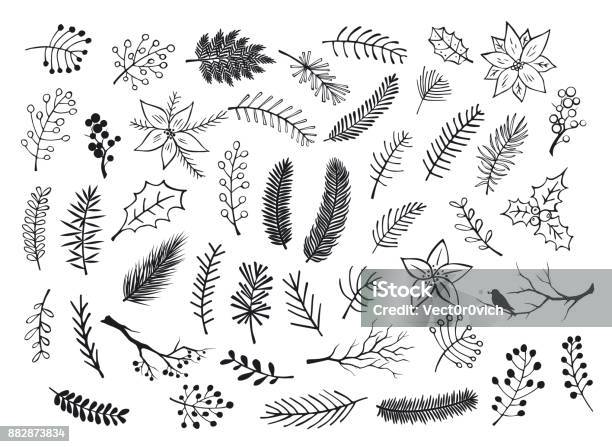 Collection Of Hand Drawn Outlined And Silhouettes Winter Foliage Branches Twigs Flowers In Black Color Stock Illustration - Download Image Now