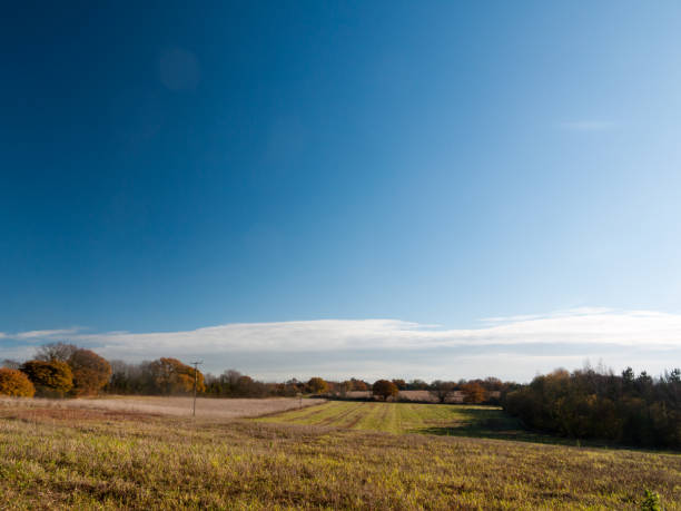 istock empty open grass land farm land scene plain agriculture blue sky clear 882882692