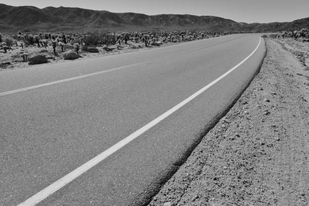 istock Highway at the Joshua Tree National Park 882884956