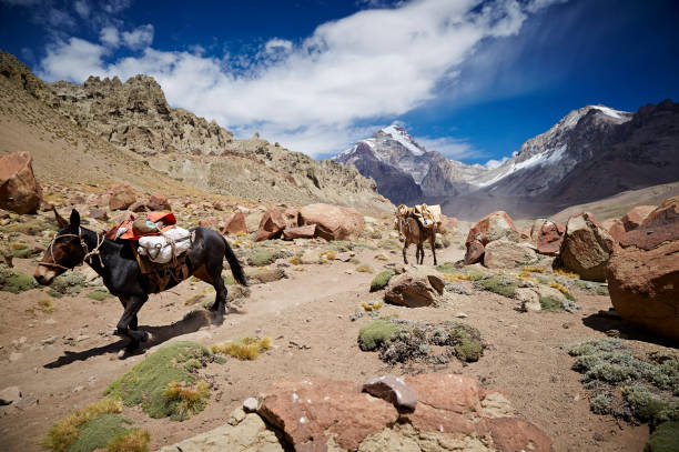 istock Aconcagua, expedition, Argentina. 882885826