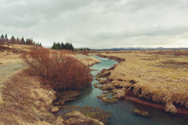 istock Landscape along Iceland winter scenic road 882886218