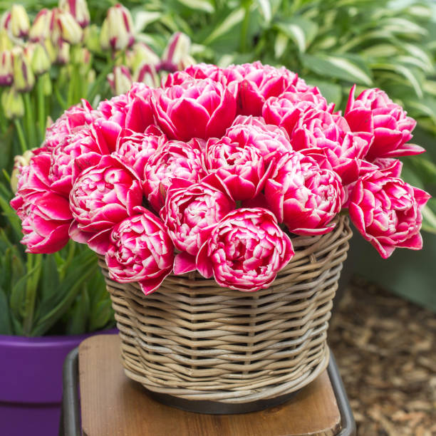 istock Bicycle with basket of beautiful flowers 882894576