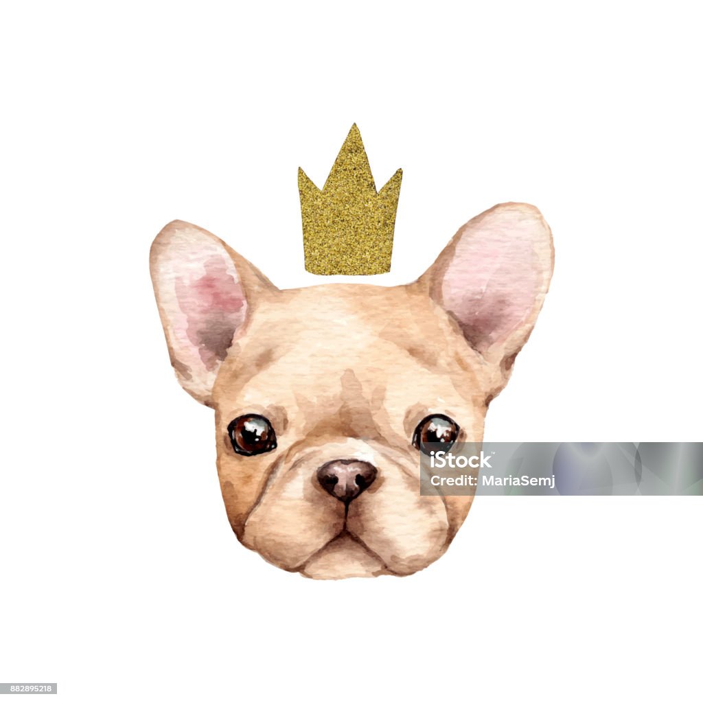 Cute french bulldog Cute french bulldog with crown. Dog stock vector