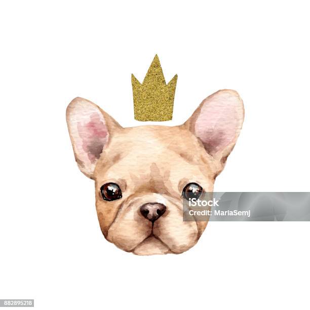 Cute French Bulldog Stock Illustration - Download Image Now - Dog, Watercolor Painting, Crown - Headwear