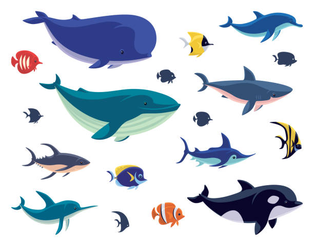 illustrations, cliparts, dessins animés et icônes de groupe de créatures de la mer - baleine