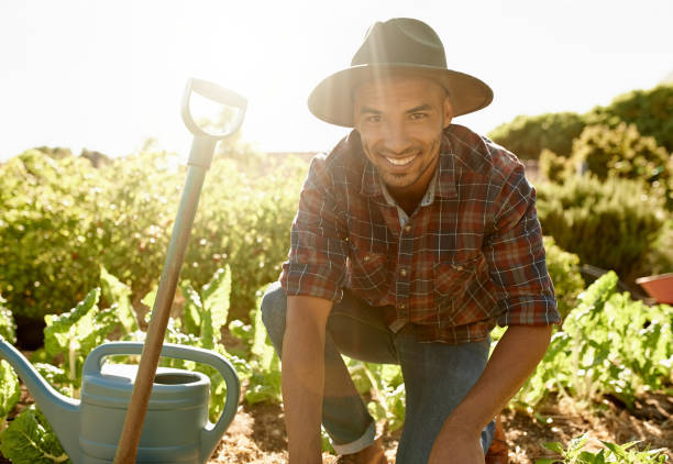 istock This is my natural habitat 882901778