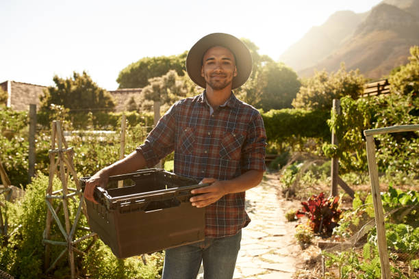 istock We only harvest the freshest 882901834