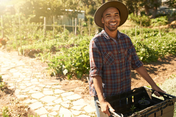 istock It's been a successful harvesting season 882901844