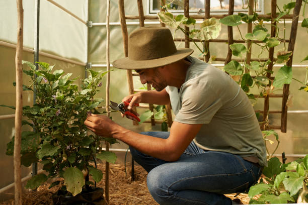 istock Working with care around the garden 882901856