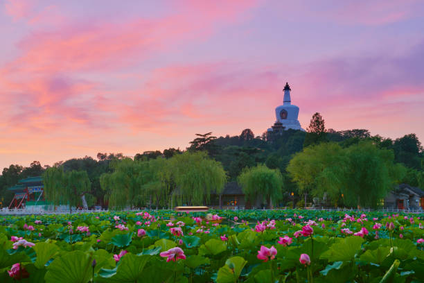 Beihai Park at Sunset, Beijing, China