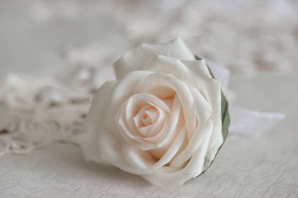 istock Fresh white rose, small bouquet for suit buttonhole or boutonniere 882906050