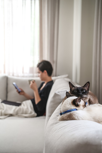 Woman relaxing at home with cats (contributor is the owner of the cats )