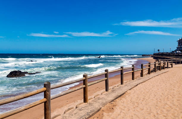 istock Wooden Pole Barrier on Beachfront Against Coastal  Landscape 882912796