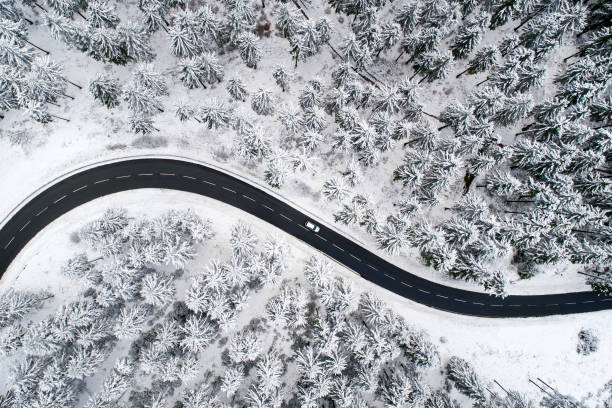 istock Road through the wintery forest 882917648