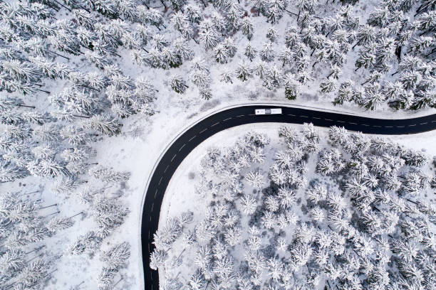 istock Road through the wintery forest 882917682