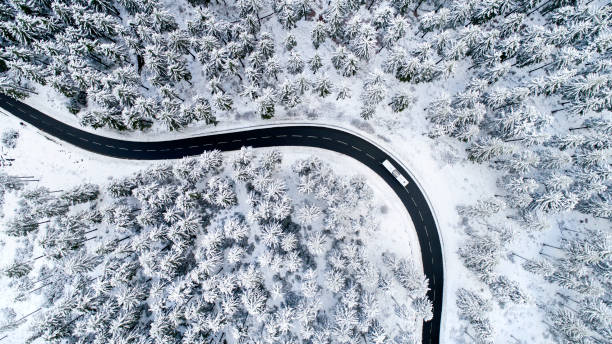 istock Road through the wintery forest 882917790