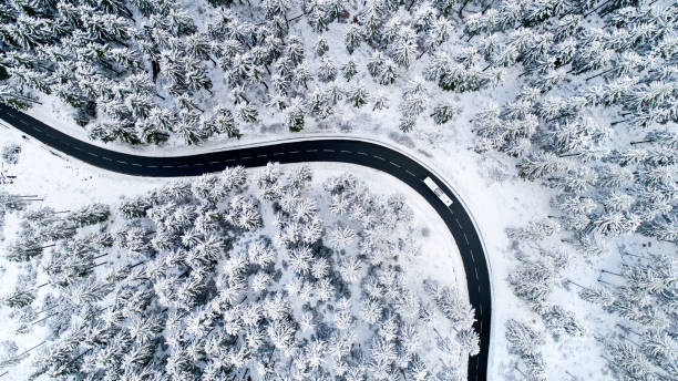 estrada através da floresta de inverno - road street nature snow - fotografias e filmes do acervo