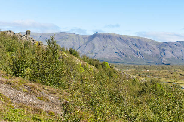 istock green mountain slope of valley in Thingvellir 882940628