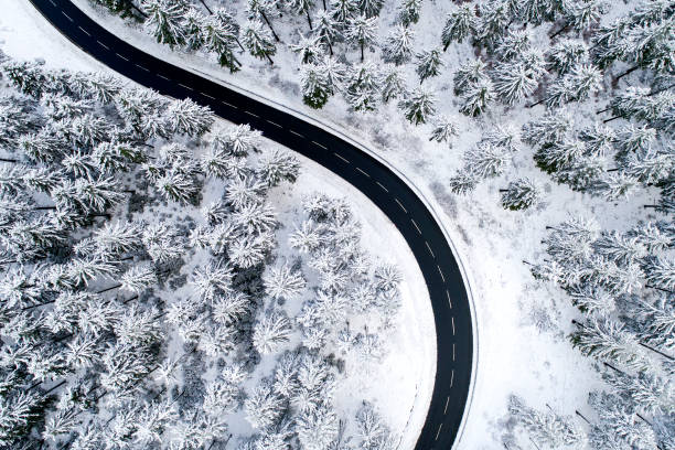 istock Road through the wintery forest 882950406