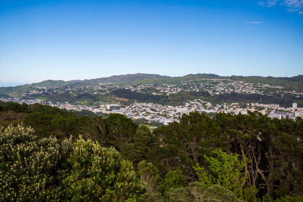 istock Wellington City Centre 882950494