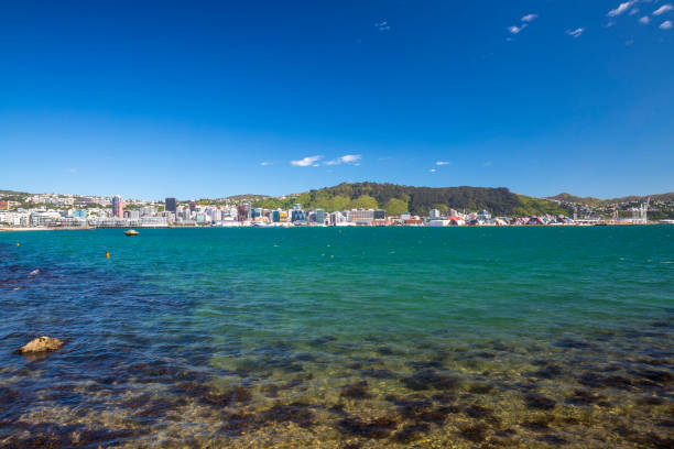 istock Wellington City Centre 882950526