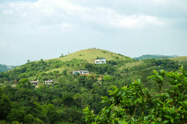 istock Meadows hill bushes, trees - countryside scenery 882966828
