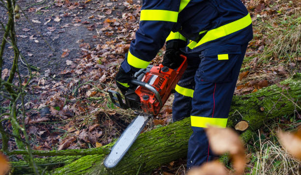 strażacy w akcji - tornado storm road disaster zdjęcia i obrazy z banku zdjęć