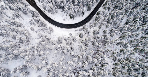 istock Road through the wintery forest 882987226