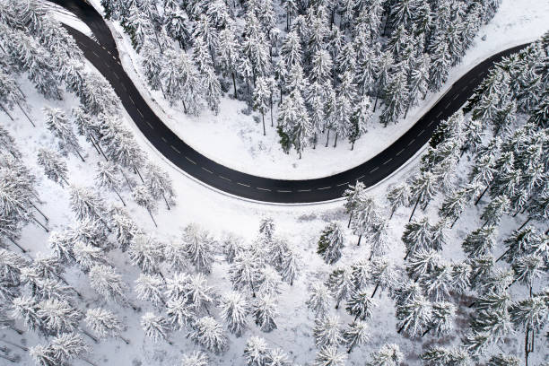 istock Road through the wintery forest 882987258