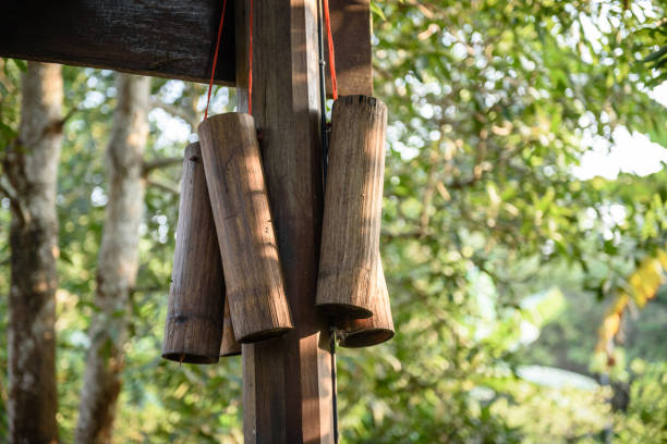 istock The bamboo tube shape 882998640