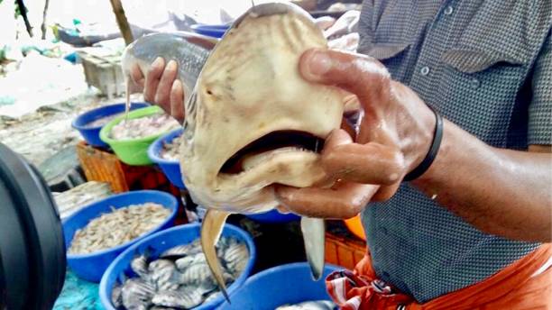 Fish sale