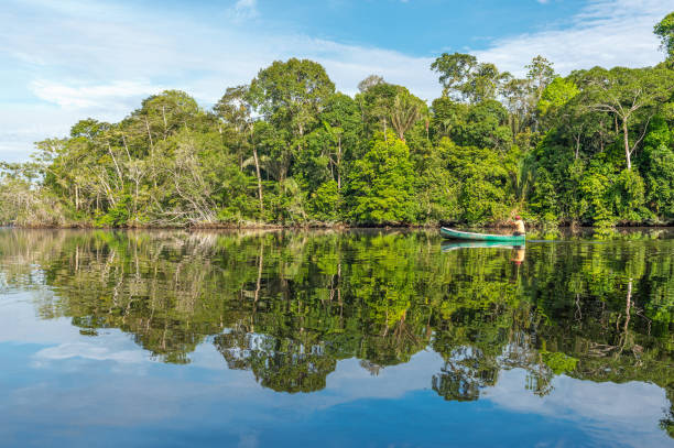 canoa en el río amazonas - kamakura japan tourist people fotografías e imágenes de stock