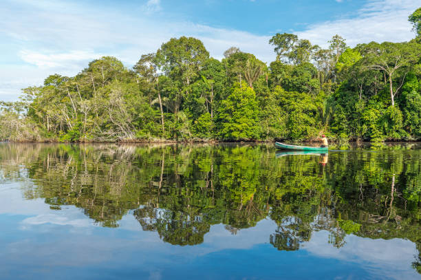 pirogue sur le fleuve amazone - rainforest brazil amazon river amazon rainforest photos et images de collection