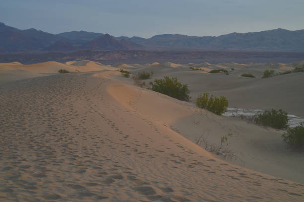 istock golden morning light desert sand dunes 883010104