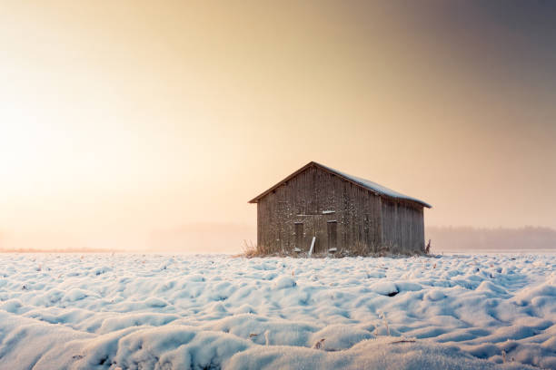 istock Sunrise And Mist Over The Snowy Fields 883019984