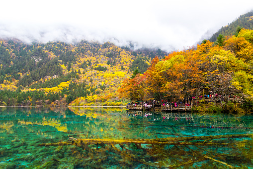 Jiuzhaigou National Park. Sichuan Province. beautiful scenic. Lake. wooden bridge. Travel. China