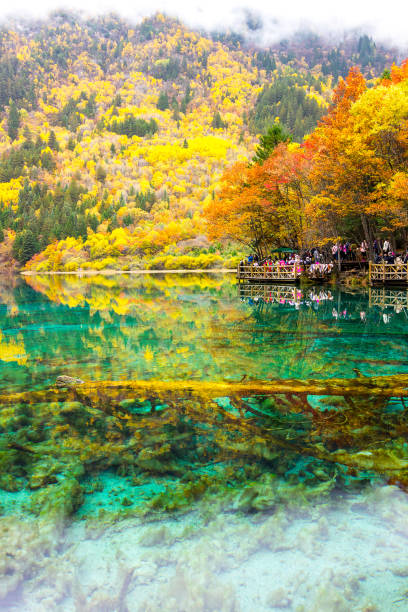 istock Jiuzhaigou National Park, China. 883033738